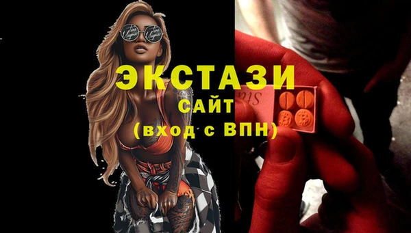 индика Бородино