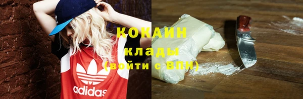 индика Бородино