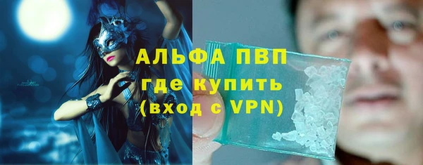 индика Бородино