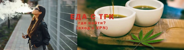 индика Бородино