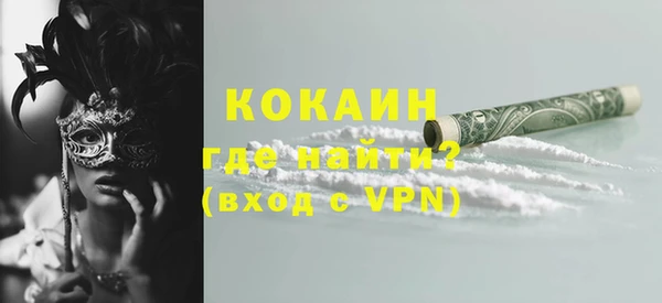 индика Бородино