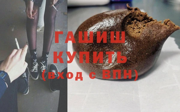 индика Бородино