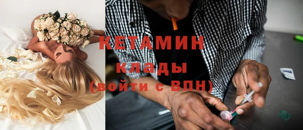 индика Бородино