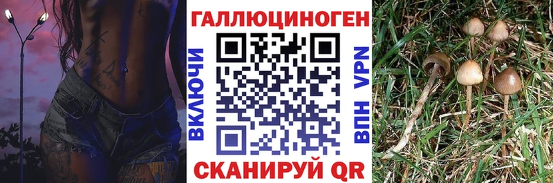 Псилоцибиновые грибы мухоморы  как найти закладки  Голицыно 